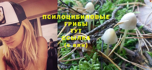 эйфоретик Пересвет