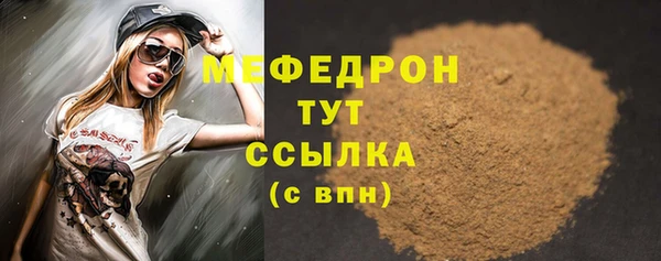 индика Тихвин