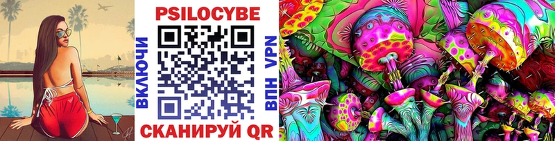 закладка Зима Псилоцибиновые грибы мицелий