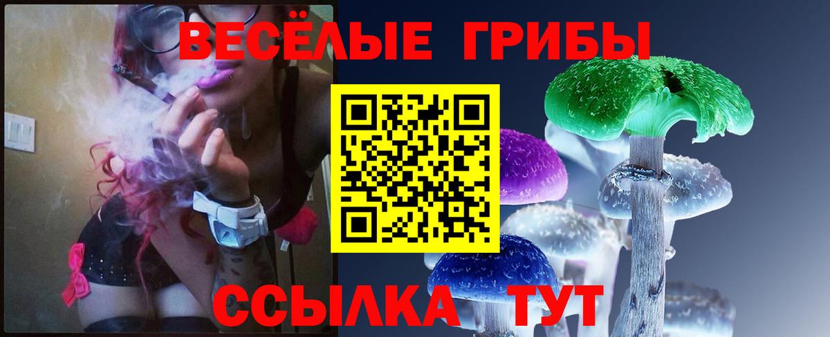 Псилоцибиновые грибы GOLDEN TEACHER Зима