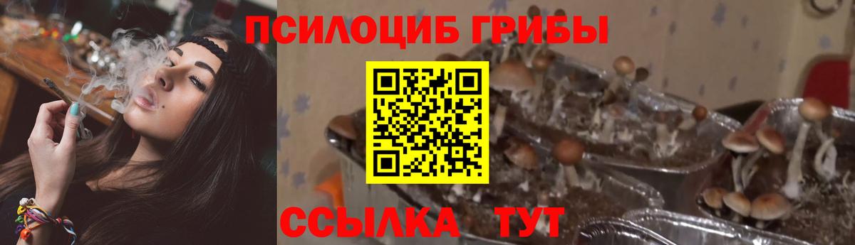 Псилоцибиновые грибы Magic Shrooms  Вход с VPN  Зима 