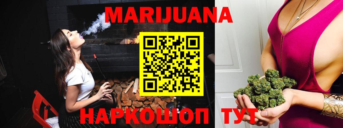 Бошки Шишки планчик  МАРИХУАНА гибрид  Бошки марихуана OG Kush  Зима  Бошки Шишки Amnesia 