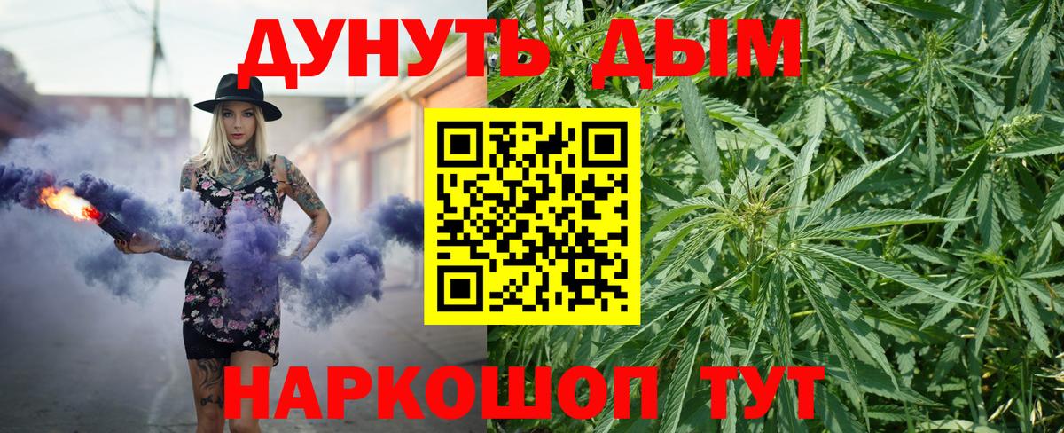Зима  Конопля OG Kush  Конопля конопля  Вход с VPN 
